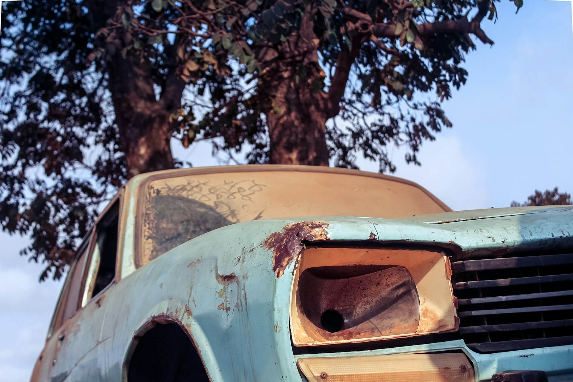 abandoned junk car under a tree